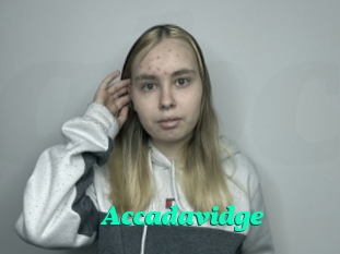 Accadavidge