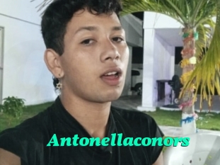 Antonellaconors