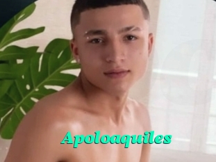 Apoloaquiles