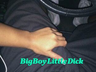 BigBoyLittleDick