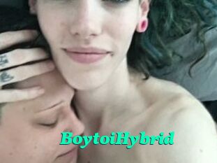 BoytoiHybrid