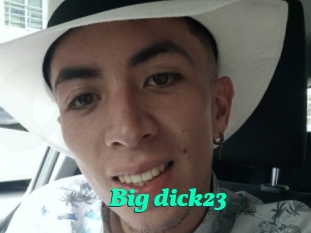 Big_dick23