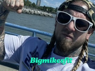 Bigmikesfit