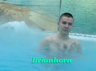 Brianhorn