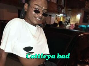 Cattleya_bad