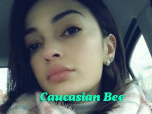 Caucasian_Bee