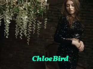 ChloeBird