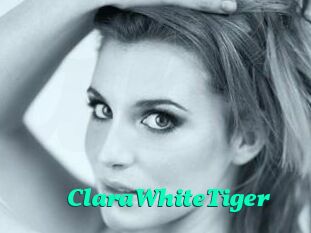 ClaraWhiteTiger