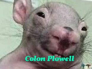 Colon_Plowell