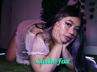 Conie_fox