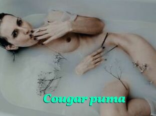 Cougar_puma