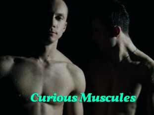 Curious_Muscules