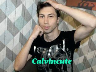 Calvincute