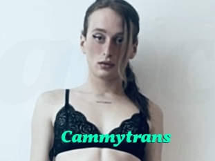 Cammytrans