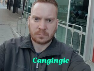 Cangingie