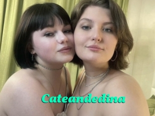 Cateandedina