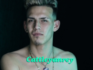 Cattleyanrey