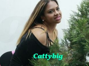 Cattybig