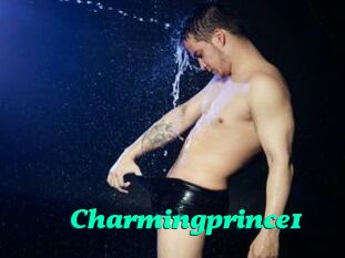 Charmingprince1