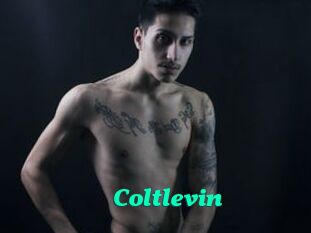 Coltlevin