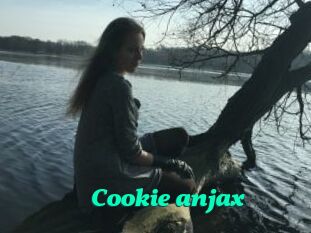 Cookie_anjax