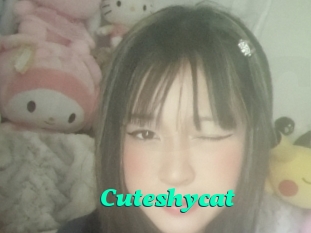 Cuteshycat