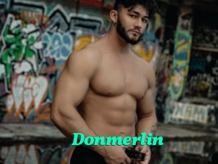 Donmerlin