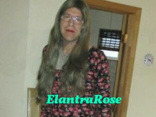 Elantra_Rose