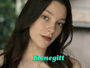 Elenegitt