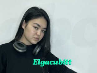 Elgacubitt