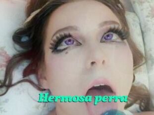 Hermosa_perra