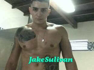 Jake_Sulivan