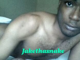 Jake_tha_snake