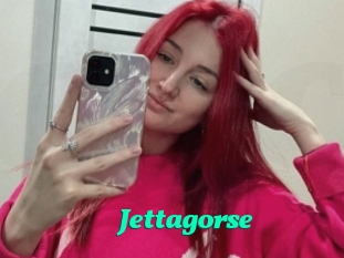 Jettagorse