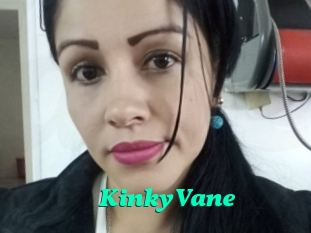 KinkyVane