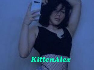 KittenAlex