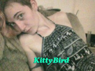 KittyBird