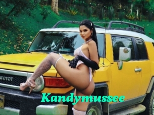 Kandymussee