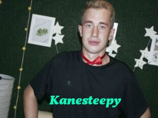 Kanesteepy