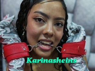 Karinasheins