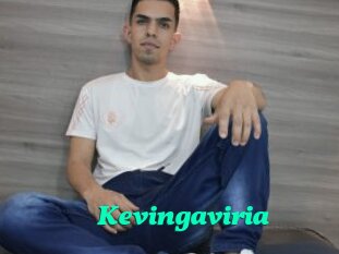 Kevingaviria