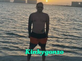 Kinkygonzo