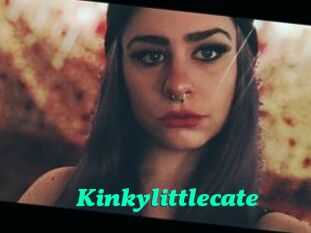 Kinkylittlecate