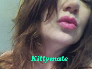 Kittymate