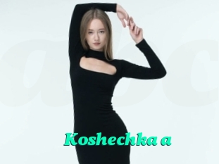 Koshechka_a