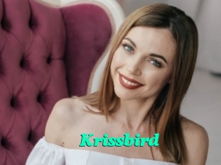 Krissbird