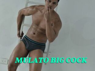 MULATO_BIG_COCK