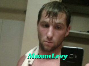 Mason_Levy