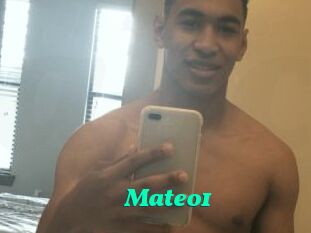 Mateo1