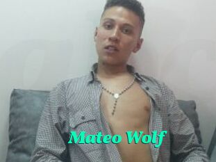 Mateo_Wolf